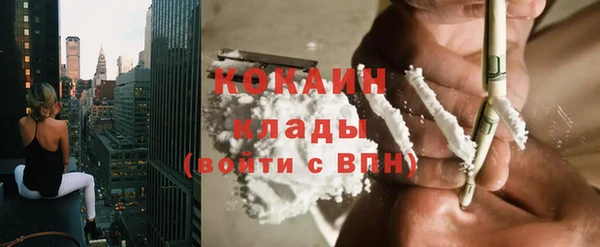 кокс Алексин