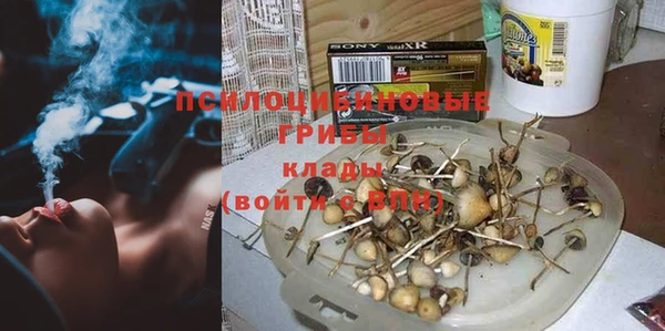а пвп мука Алзамай