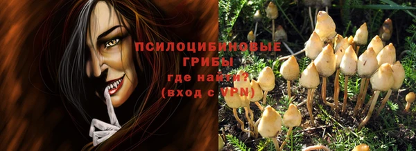 а пвп мука Алзамай