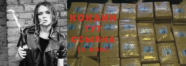 кокс Алексин