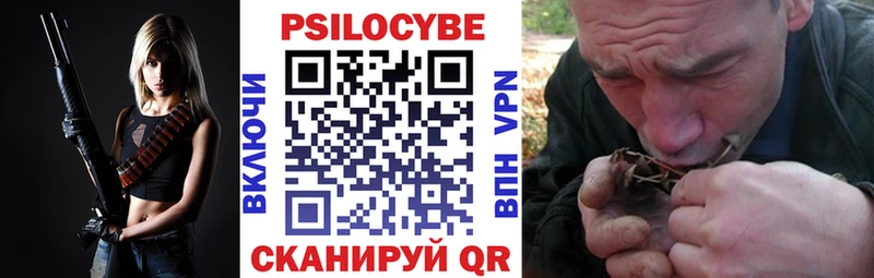 Псилоцибиновые грибы ЛСД  сайты даркнета телеграм  Бологое 