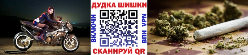 Бошки Шишки сатива Бологое